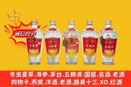 上海市普陀回收老五粮液
